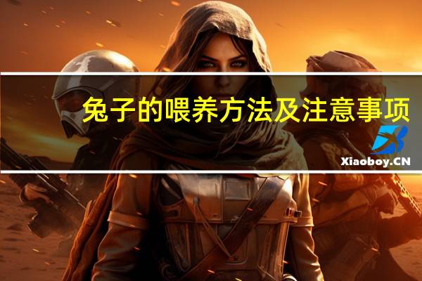 兔子的喂养方法及注意事项