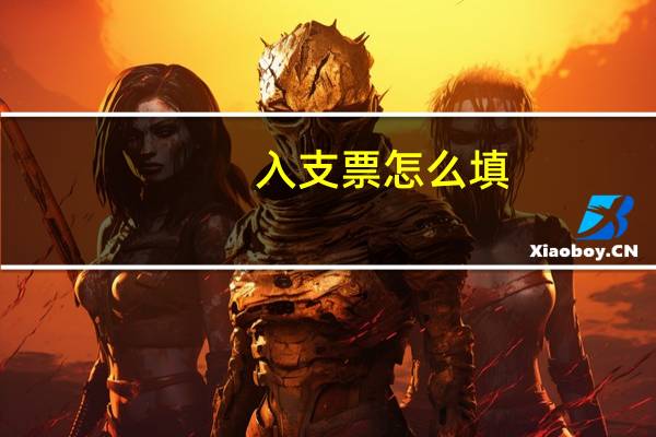 入支票怎么填