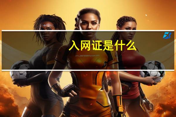 入网证是什么