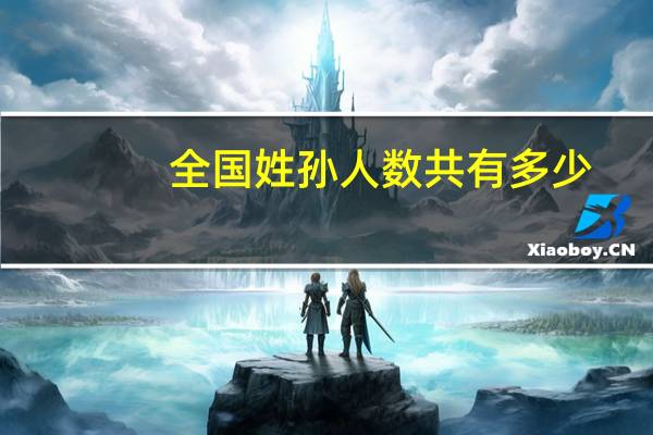 全国姓孙人数共有多少