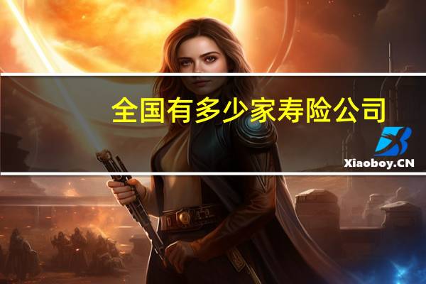 全国有多少家寿险公司