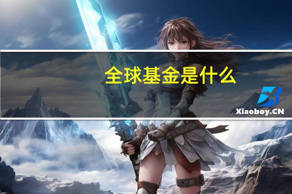 全球基金是什么