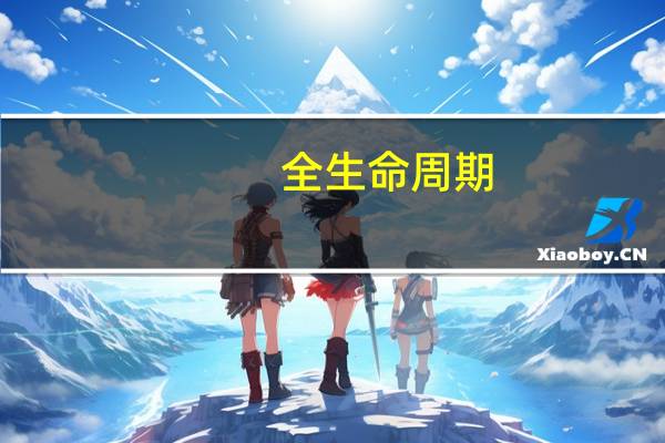 全生命周期