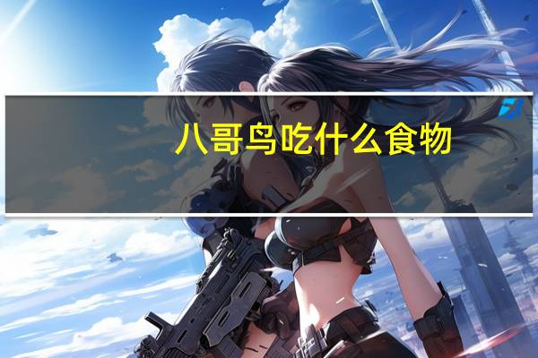 八哥鸟吃什么食物