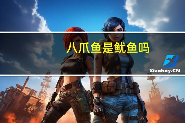 八爪鱼是鱿鱼吗