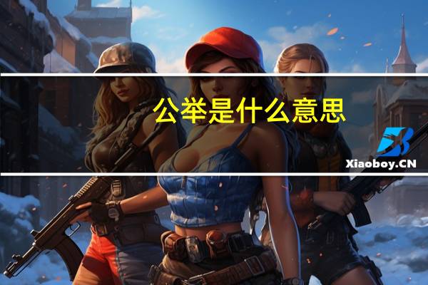 公举是什么意思