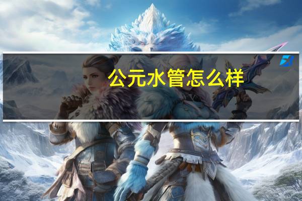 公元水管怎么样