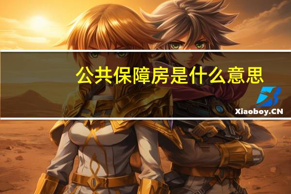 公共保障房是什么意思