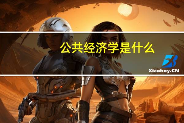 公共经济学是什么