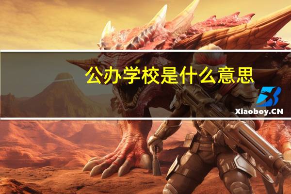 公办学校是什么意思