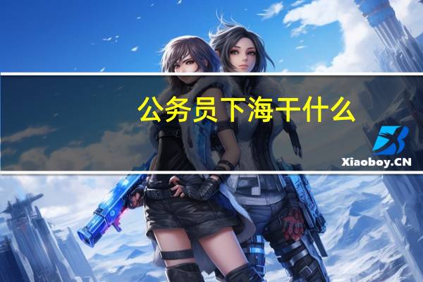 公务员下海干什么
