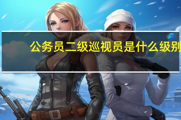 公务员二级巡视员是什么级别
