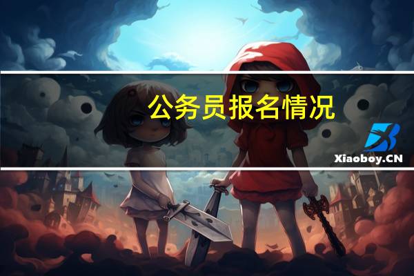 公务员报名情况