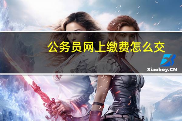 公务员网上缴费怎么交