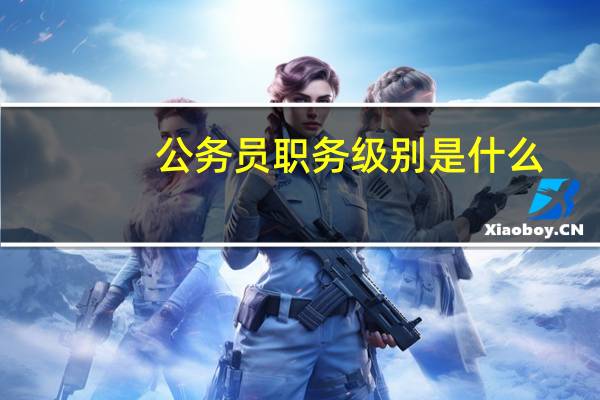 公务员职务级别是什么