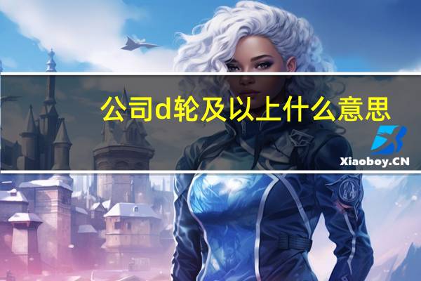 公司d轮及以上什么意思