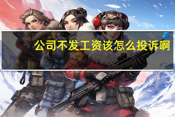 公司不发工资 该怎么投诉啊