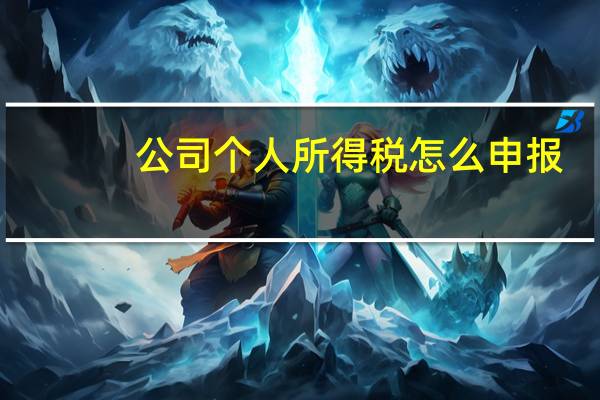 公司个人所得税怎么申报