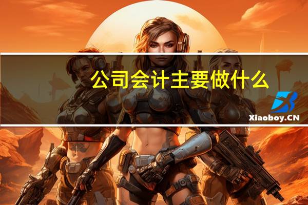 公司会计主要做什么