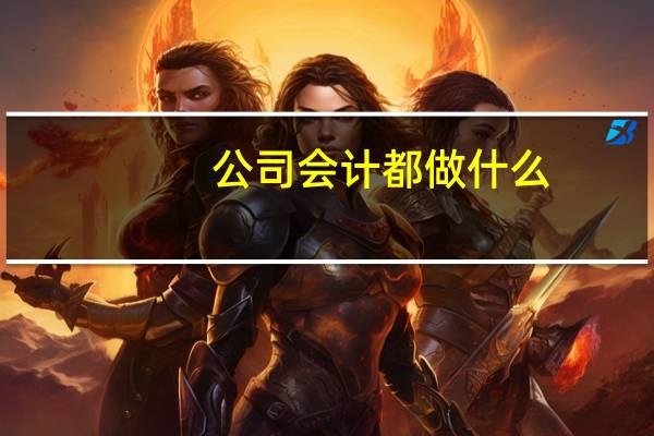 公司会计都做什么