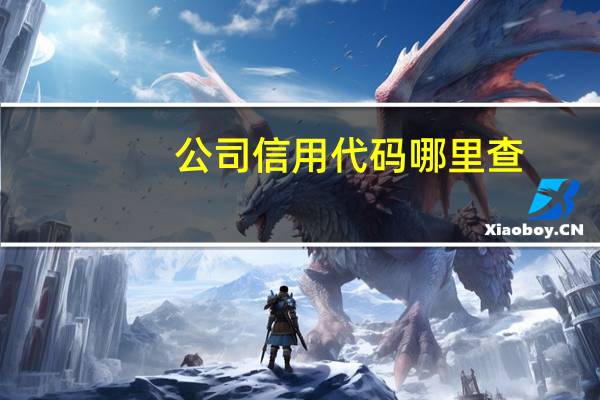 公司信用代码哪里查