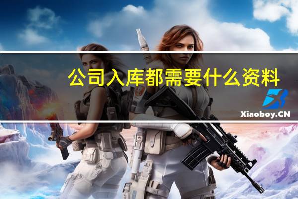 公司入库都需要什么资料