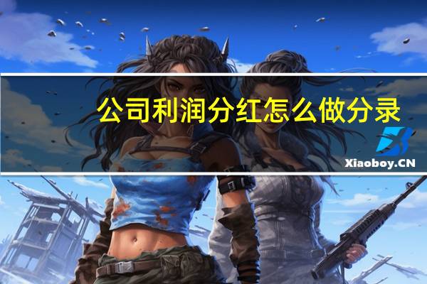 公司利润分红怎么做分录