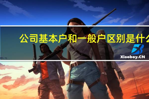 公司基本户和一般户区别是什么