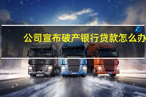 公司宣布破产银行贷款怎么办