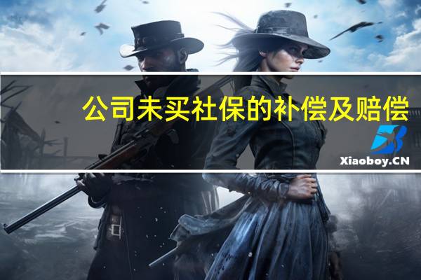 公司未买社保的补偿及赔偿