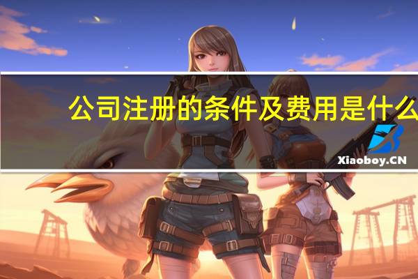 公司注册的条件及费用是什么