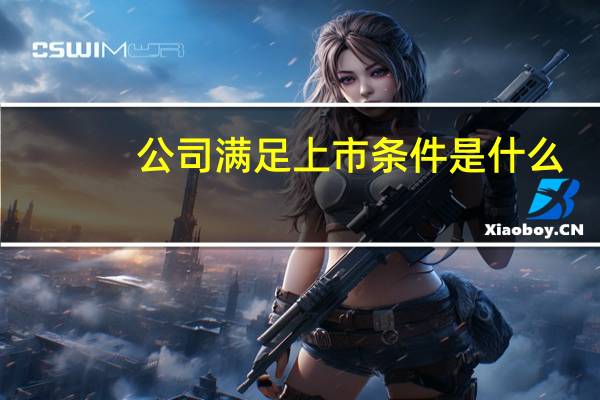 公司满足上市条件是什么