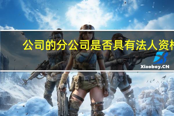 公司的分公司是否具有法人资格