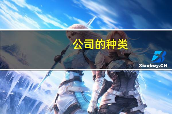 公司的种类