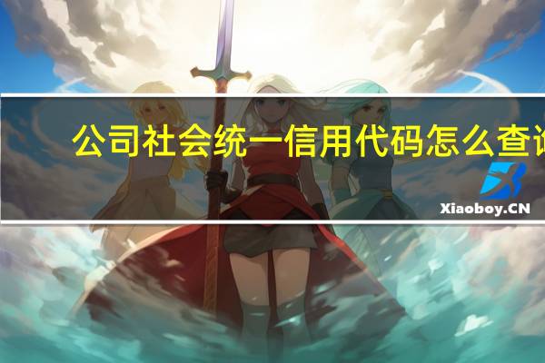 公司社会统一信用代码怎么查询