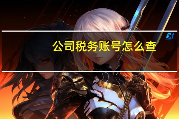 公司税务账号怎么查
