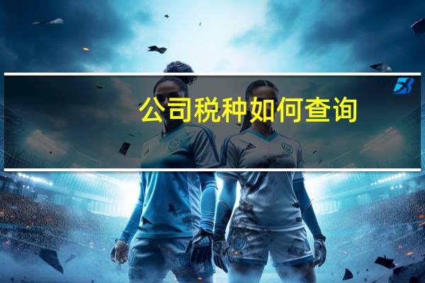 公司税种如何查询