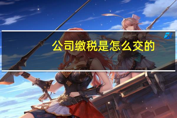 公司缴税是怎么交的