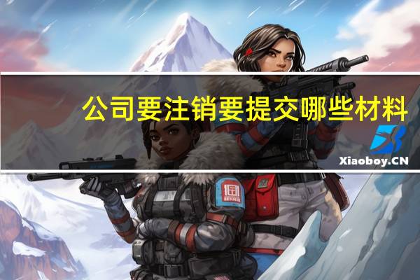 公司要注销要提交哪些材料