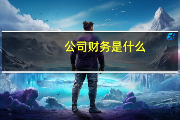 公司财务是什么