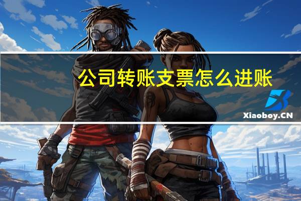 公司转账支票怎么进账