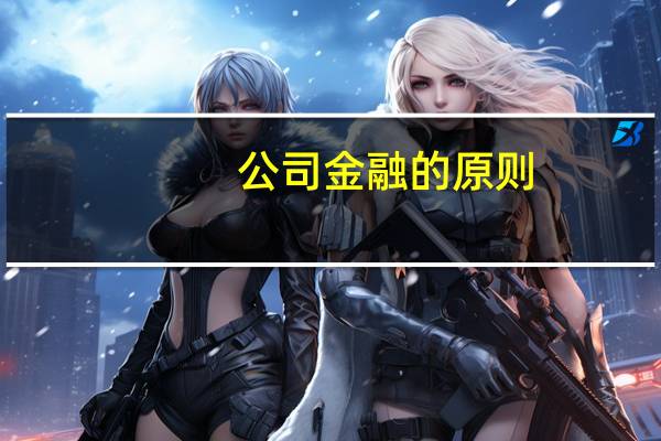 公司金融的原则