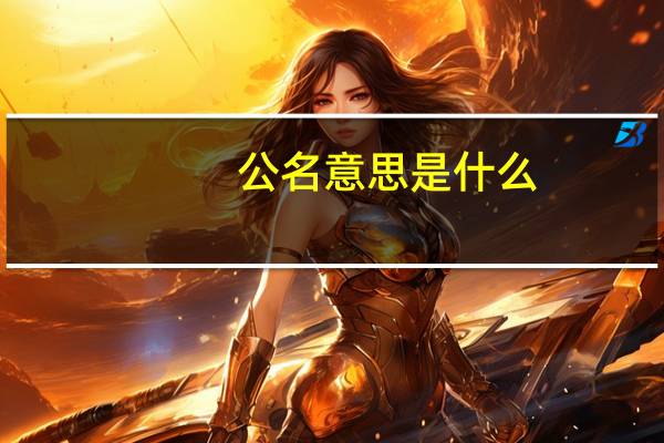 公名意思是什么