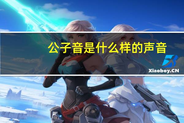 公子音是什么样的声音
