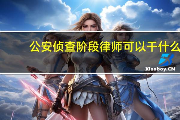 公安侦查阶段律师可以干什么