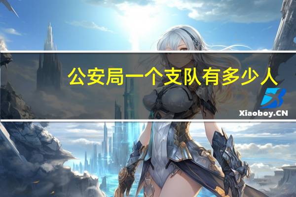公安局一个支队有多少人