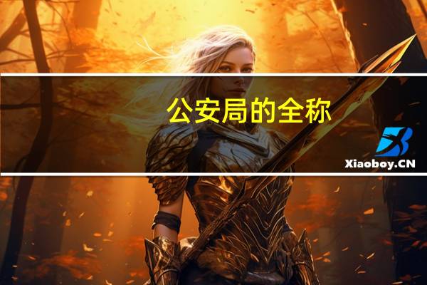 公安局的全称