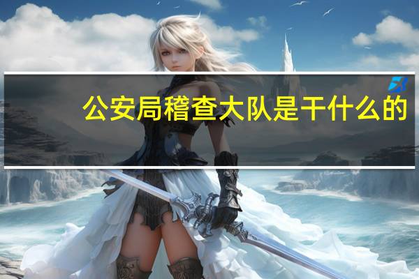 公安局稽查大队是干什么的