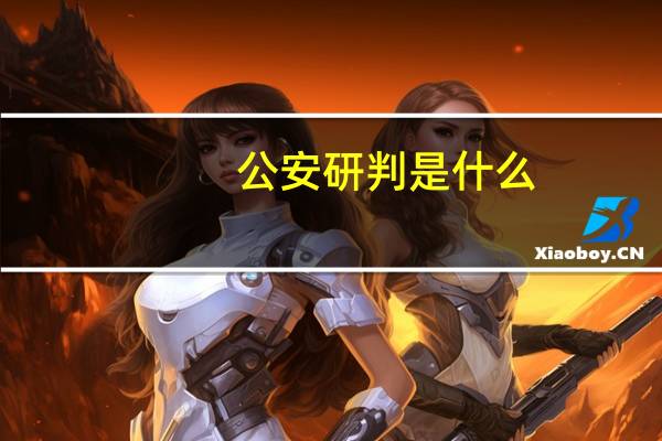 公安研判是什么