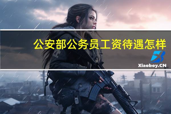 公安部公务员工资待遇怎样